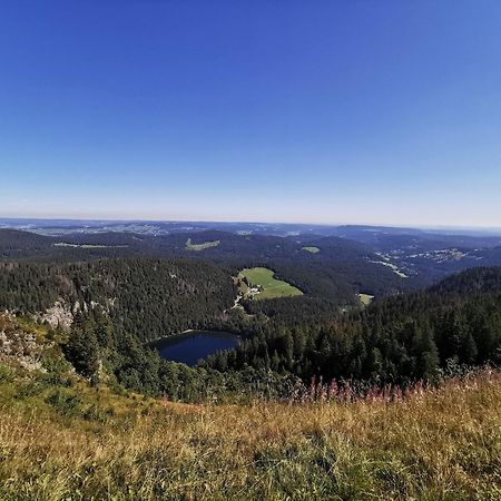Fewo 1 - Residenz Schauinsland - mit Sauna, Todtnauberg, bei Feldberg Exterior foto