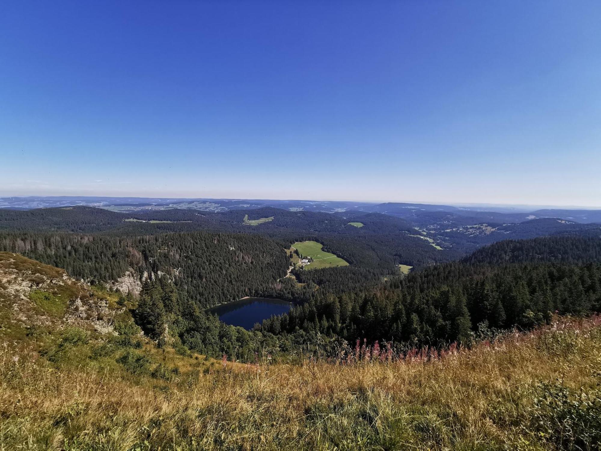 Fewo 1 - Residenz Schauinsland - mit Sauna, Todtnauberg, bei Feldberg Exterior foto
