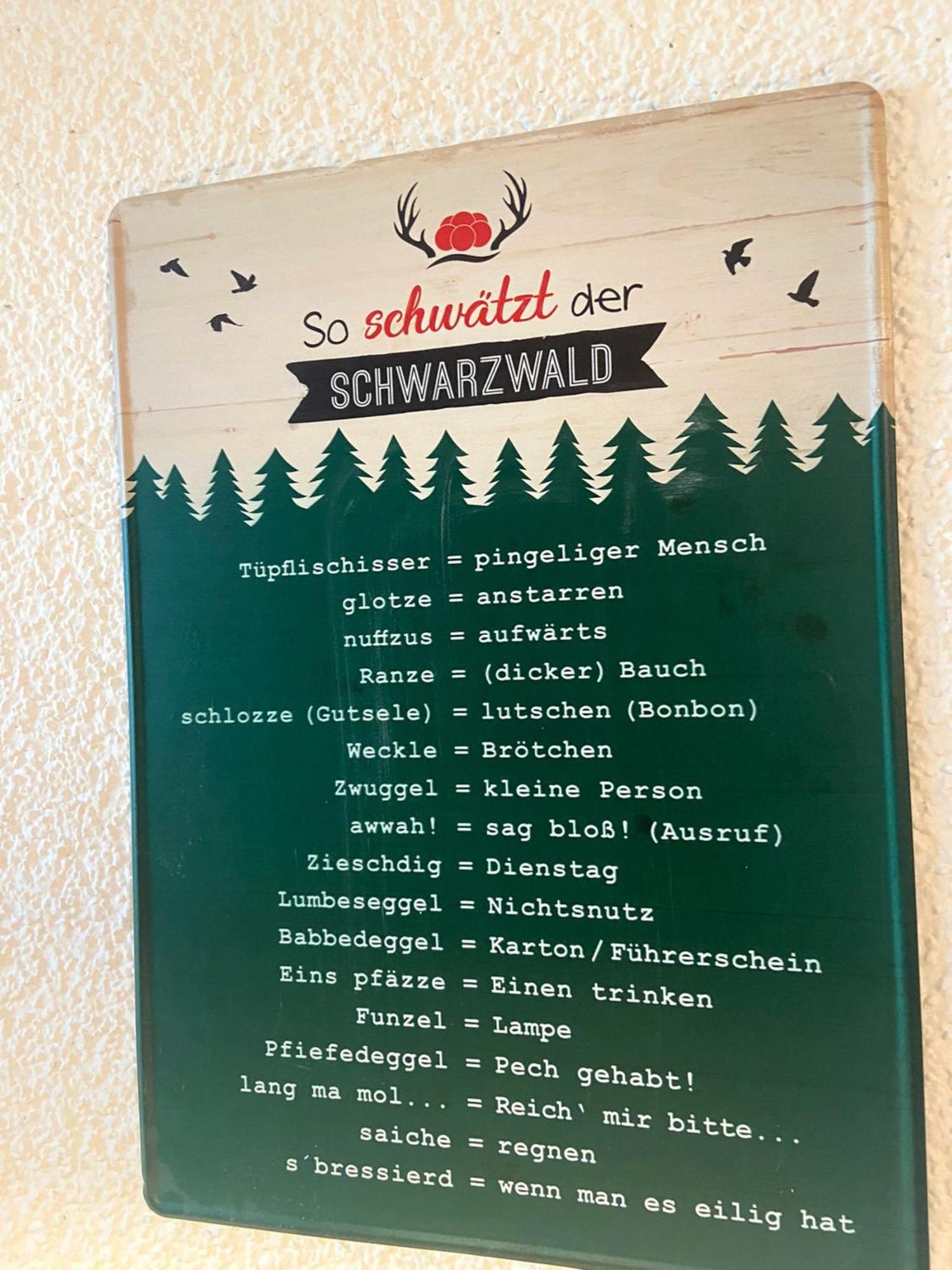Fewo 1 - Residenz Schauinsland - mit Sauna, Todtnauberg, bei Feldberg Exterior foto